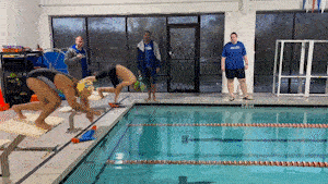 Competitive swimmers diving in the pool.