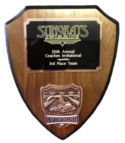 ASA Finishes 3rd in the 2013 Rays Coaches Invite Meet swimming award