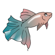 guppy guppy